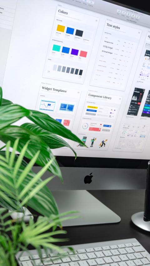 Web & Mobile Dev